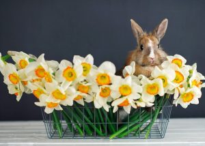 Easy DIY Easter Crafts and Decorations