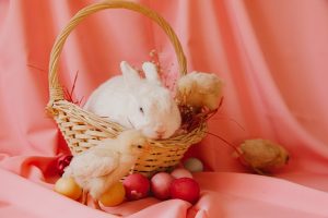 DIY Bunny-Inspired Ideas for Easter